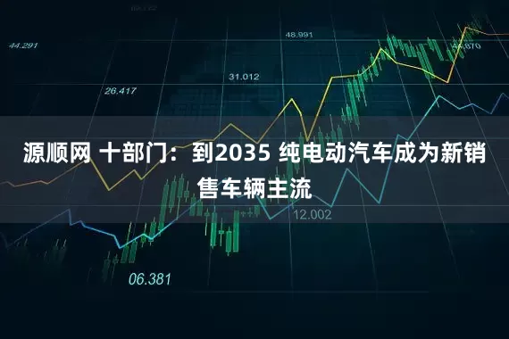 源顺网 十部门：到2035 纯电动汽车成为新销售车辆主流