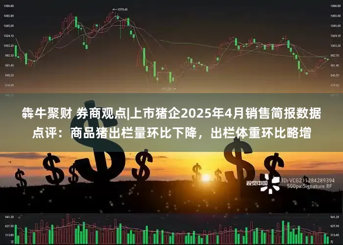 犇牛聚财 券商观点|上市猪企2025年4月销售简报数据点评：商品猪出栏量环比下降，出栏体重环比略增