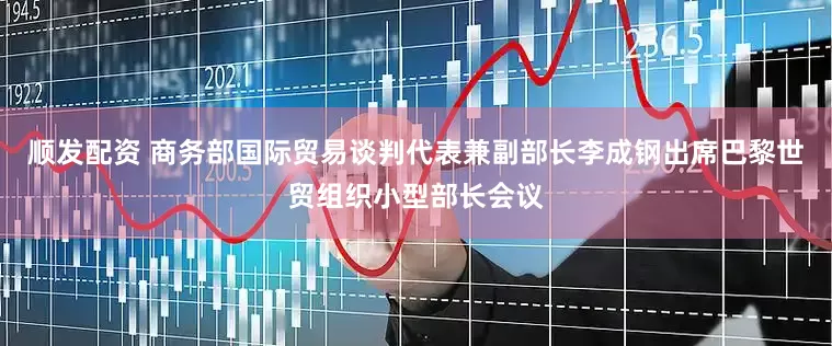 顺发配资 商务部国际贸易谈判代表兼副部长李成钢出席巴黎世贸组织小型部长会议
